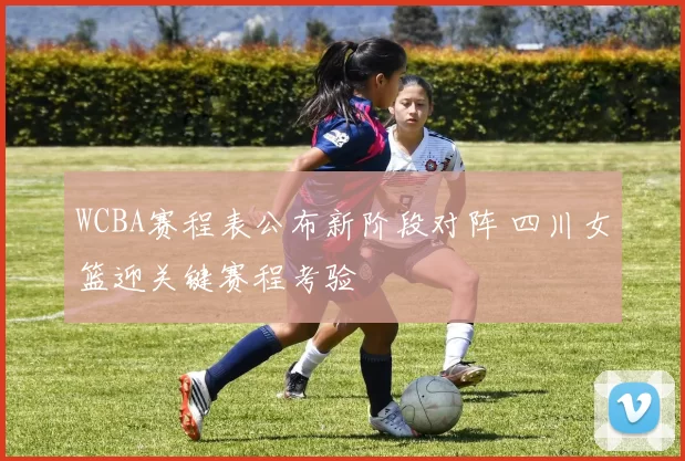 WCBA赛程表公布新阶段对阵 四川女篮迎关键赛程考验