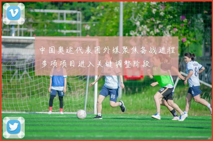 中国奥运代表团外媒聚焦备战进程 多项项目进入关键调整阶段